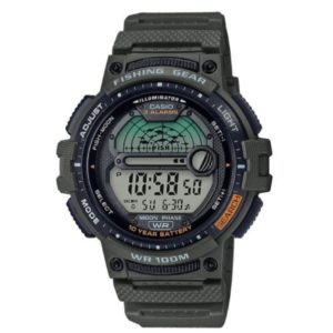 Reloj Casio WS-1200H-3AVEF