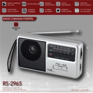 RS 2965 Radio Sami