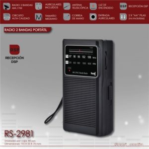RS 2981 Radio Sami